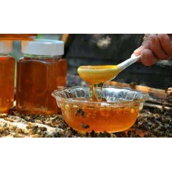 英国蜂蜜深圳进口清关需要多久