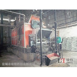 泰州靖江锅炉改造生物质不拆炉排