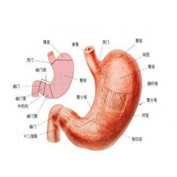 糜烂性胃炎-陕西口碑好的胃炎治疗