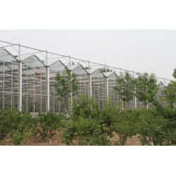 承接徐州玻璃智能温室大棚自动化育苗温室生态餐厅温室