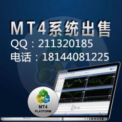MT4组别出租MT4全套软件出售CRM系统