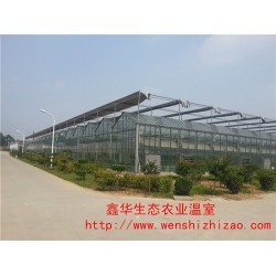 智能玻璃温室 蔬菜玻璃大棚建造