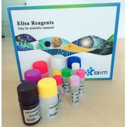 兔降钙素原（PCT）ELISA试剂盒哪家好
