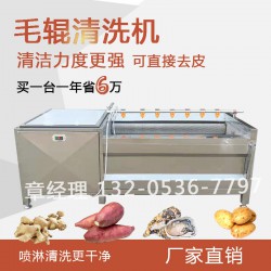 速冻食品厂毛辊清洗机 不锈钢高压喷淋清洗机