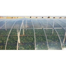 葡萄专用膜厂家-海飞塑料优惠的农膜供应