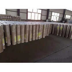 建筑养殖家用电焊网PVC电焊网荷兰网安平源头厂家品质保证