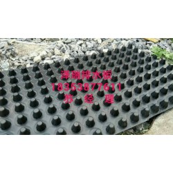 重庆车库顶板排水板（现货供应）车库蓄排水板