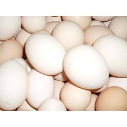 上海土鸡蛋厂家直销_划算的土鸡蛋供应