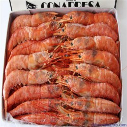 阿根廷红虾进口上海代理报关行