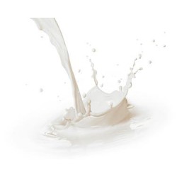 天津乳制品进口报关的流程手续