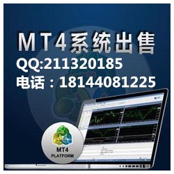 平台出租MT4服务器