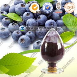 蓝莓提取物 蓝莓果粉固体、液体饮料代加工厂家