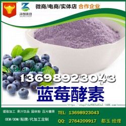 浙江蓝莓黑枸杞植物固体饮料OEM生产企业